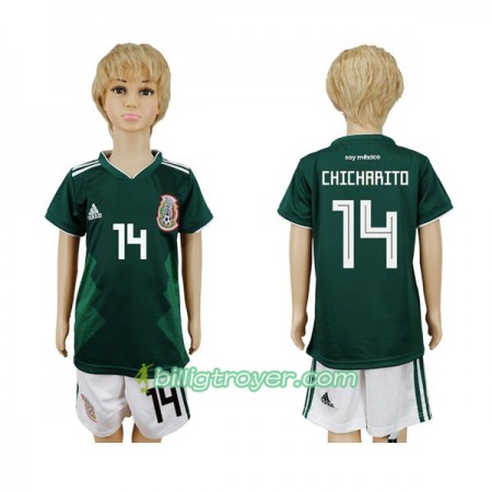Billige Fotballdrakter Mexico Chicharito 14 Barn VM 2018 Hjemmedraktsett